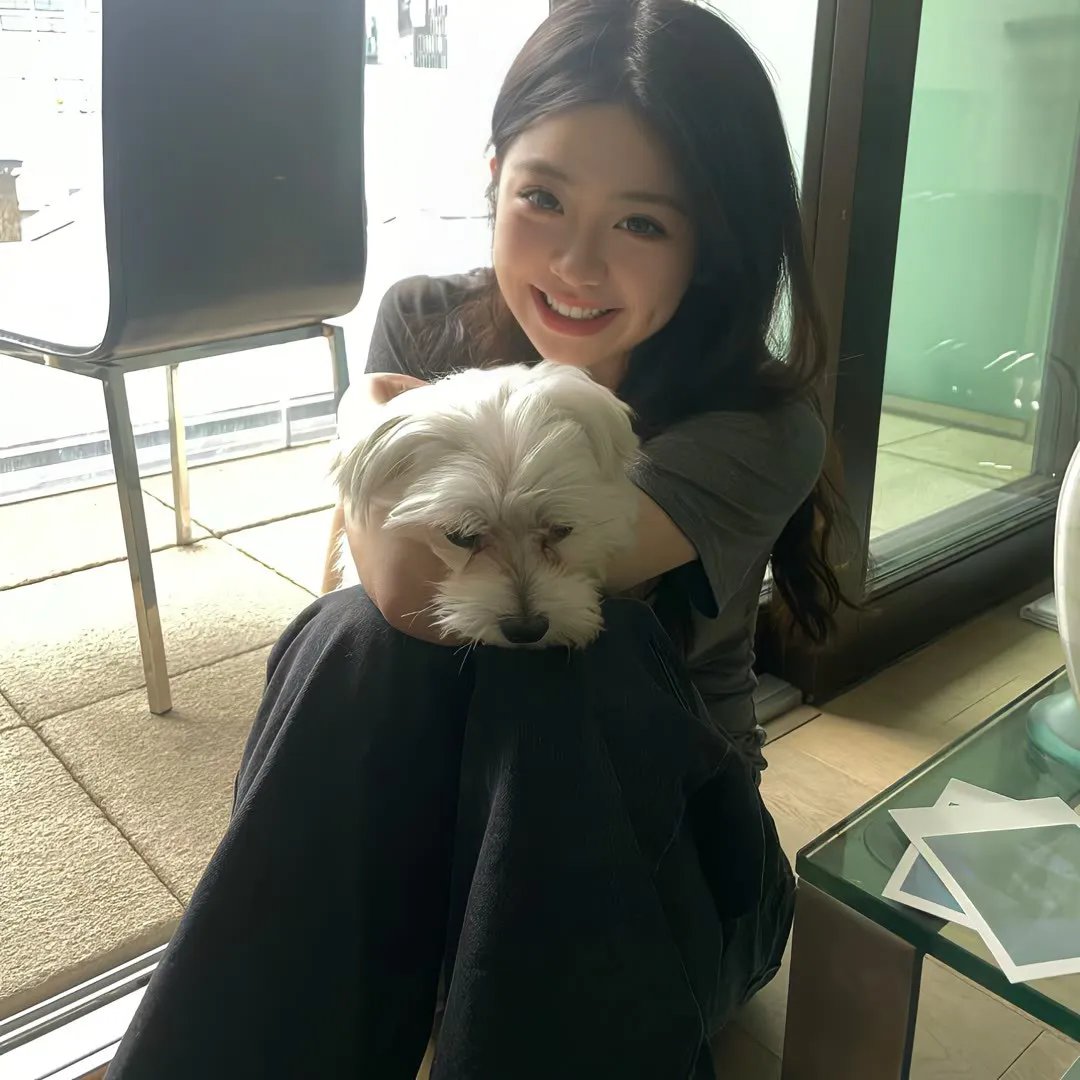 双子阴谋